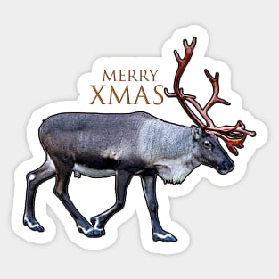 Santa Claus Reindeer Sticker